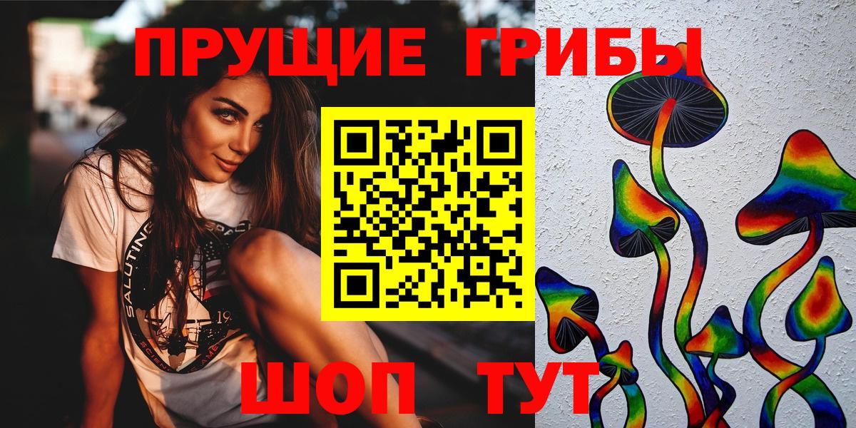Псилоцибиновые грибы мицелий  где продают наркотики  Каменск-Уральский  Вход с VPN 